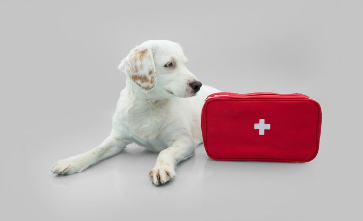 Kits de Emergência e Medicamentos para Animais de Estimação